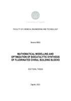 Mathematical modelling and optimization of biocatalytic synthesis of fluorinated chiral building blocks