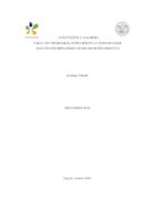 prikaz prve stranice dokumenta Energijske značajke organskih Rankine procesa